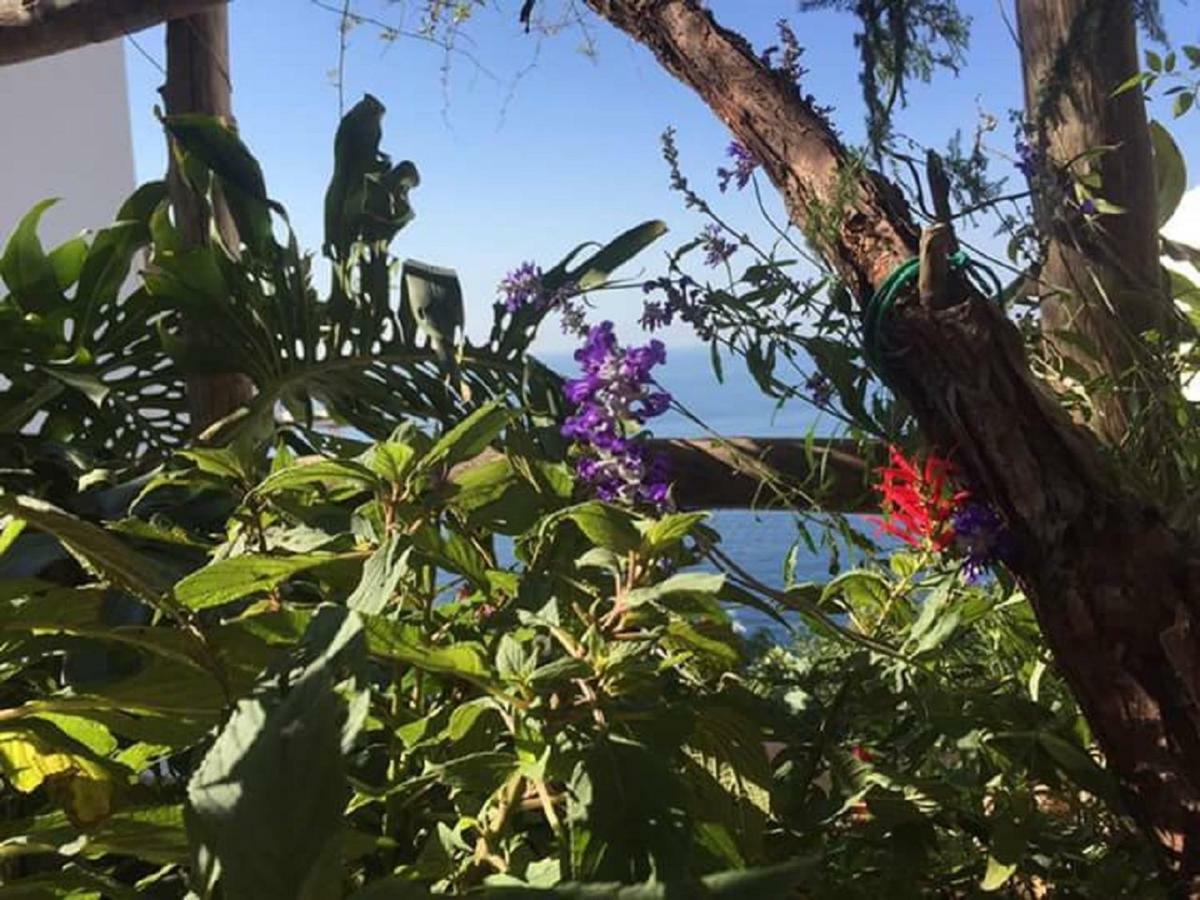 Casa Rosetta Villa Praiano Eksteriør bilde
