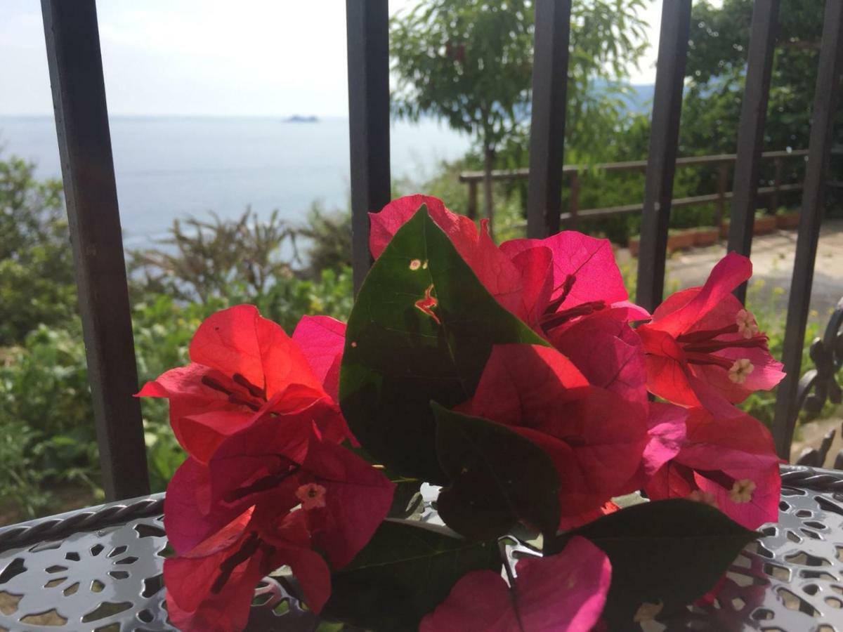 Casa Rosetta Villa Praiano Eksteriør bilde